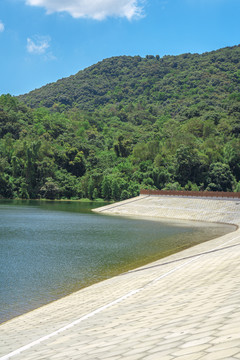 夏天户外水库