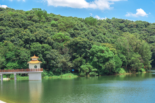 夏天户外水库