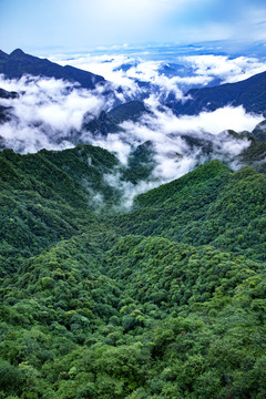 南川金佛山风光