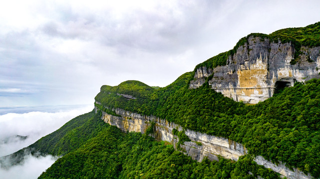 南川金佛山