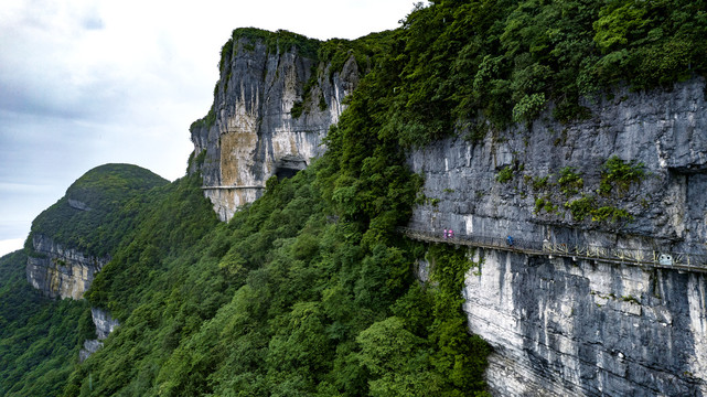 南川金佛山