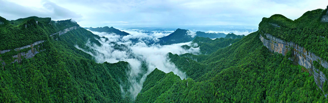 南川金佛山