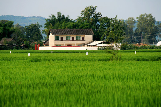 农家田园