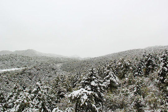 雪