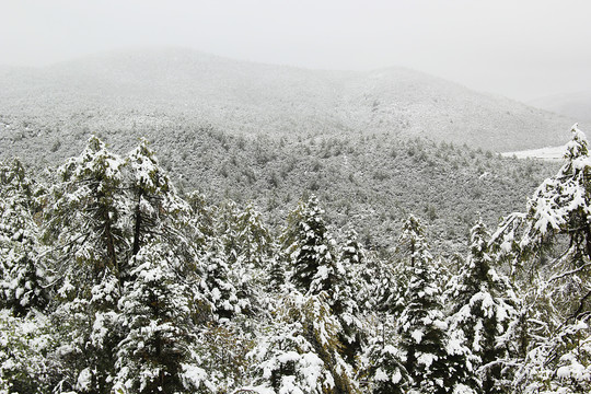 雪