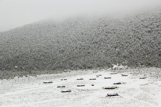 下雪