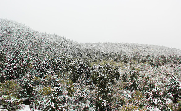 林海雪景