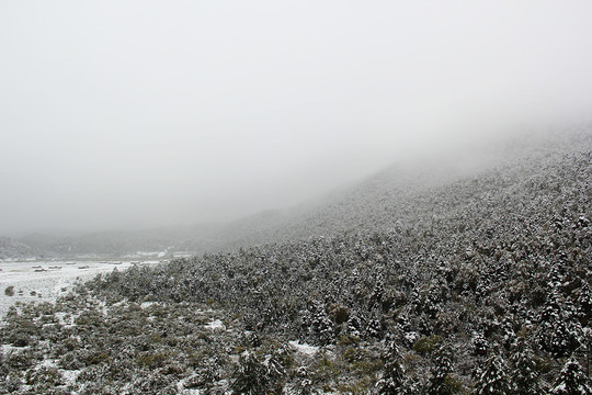 雪