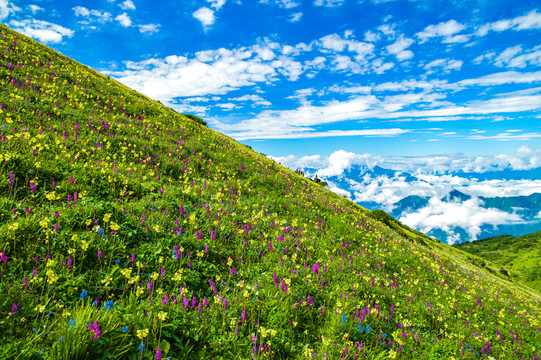 九顶山风光壁纸