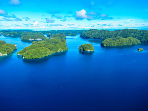 帕劳南部泻湖石岛群