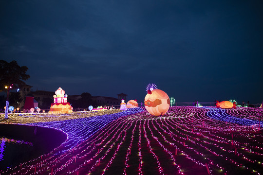 梦幻灯彩灯展夜景