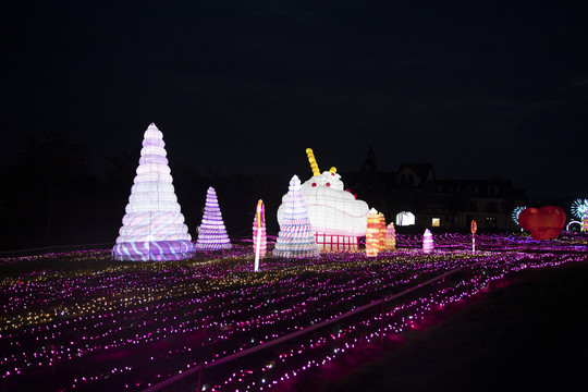 梦幻灯彩灯展夜景