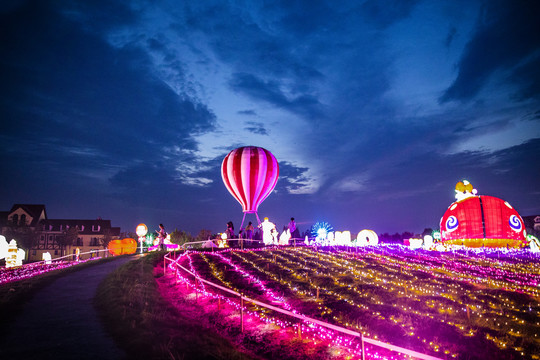 梦幻灯彩灯展夜景