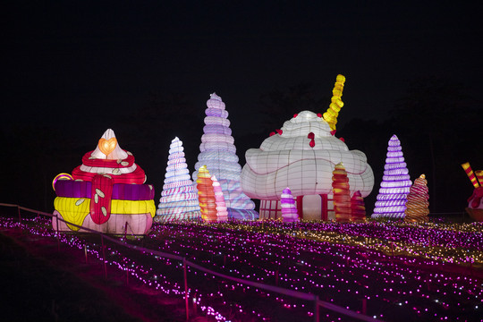 梦幻灯彩灯展夜景