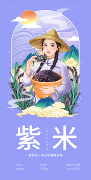紫米手绘插画
