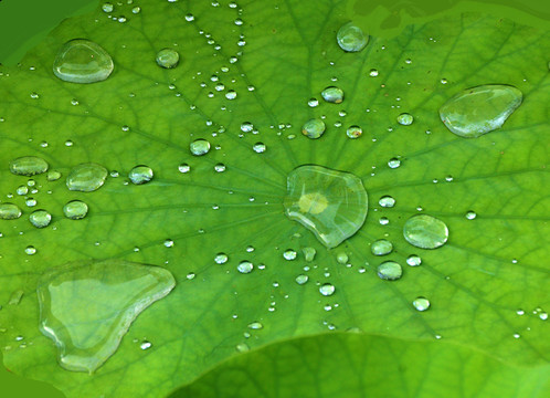 雨后