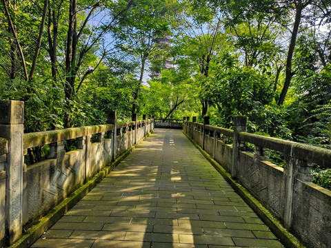 兰家山绿荫石栏杆走廊