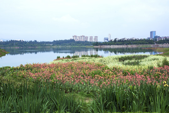 昆明安宁宁湖