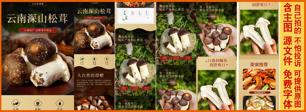 松茸菇詳情頁