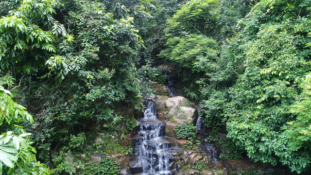 水源地