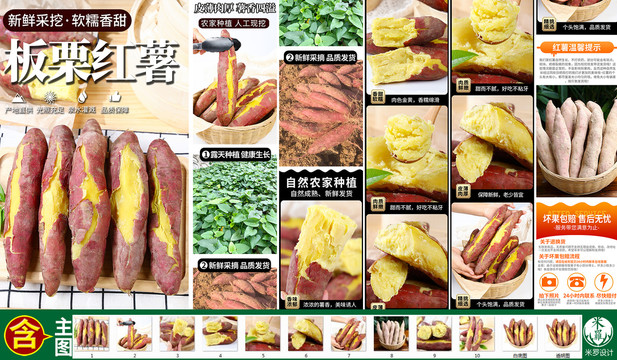 板栗紅薯詳情頁