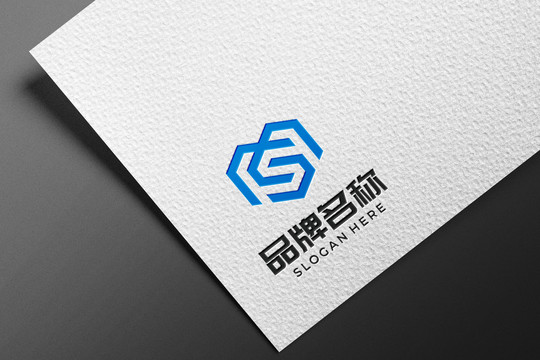 logo样机