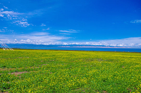 大美青海湖