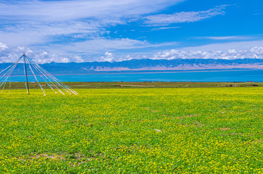 大美青海湖