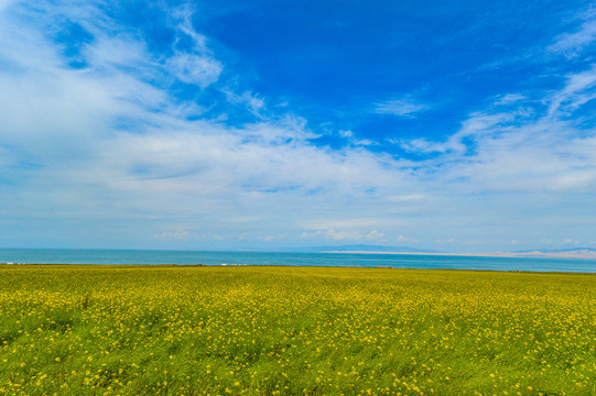 青海湖