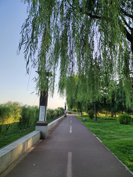 洛浦公园风景