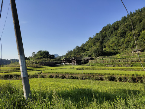 农村民居