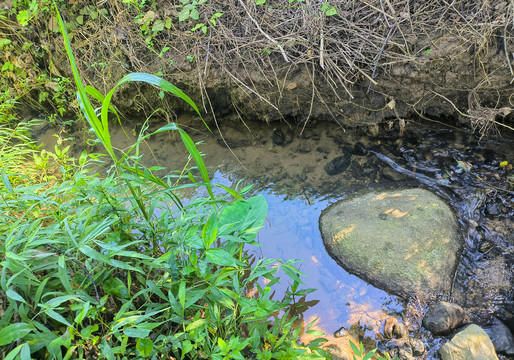 小溪流