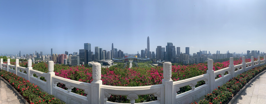 莲花山公园鸟瞰深圳全景