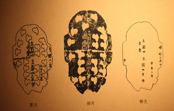 甲骨文