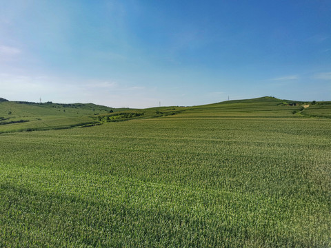 沿途风景