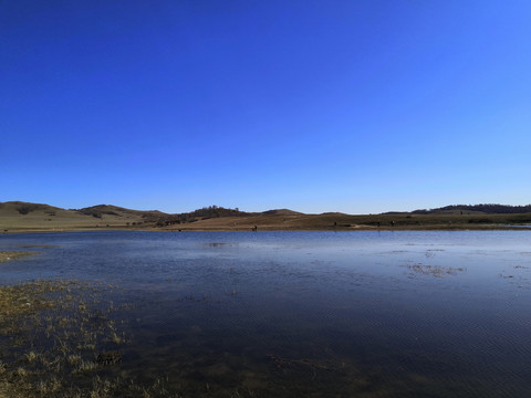烏蘭布統(tǒng)野鴨湖