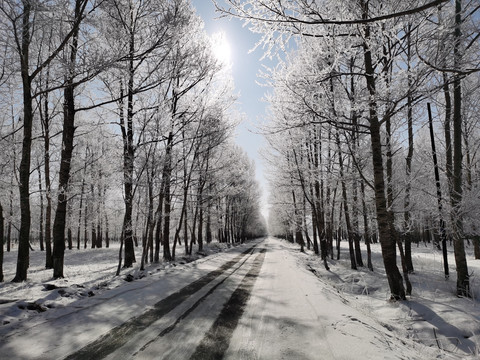 雪天景色