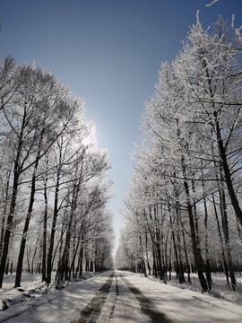 雪天道路