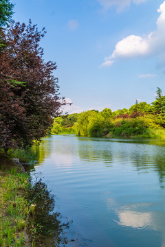 河岸