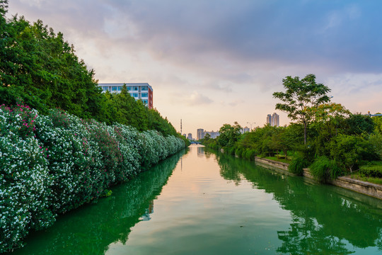 沿河两岸绿化带