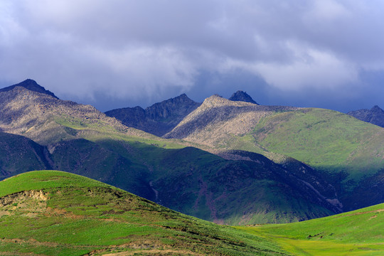 稻城风光高原草甸高山牧场