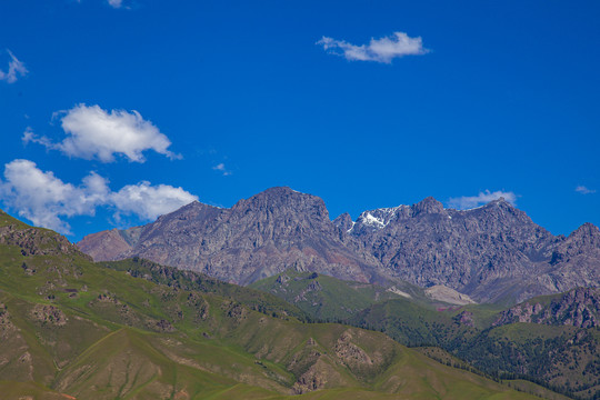 青海卓尔山