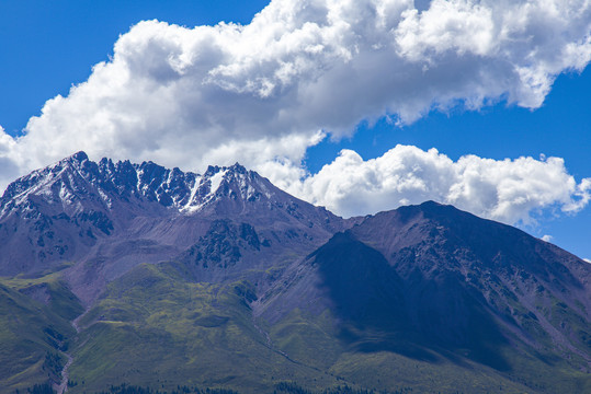 青海卓尔山