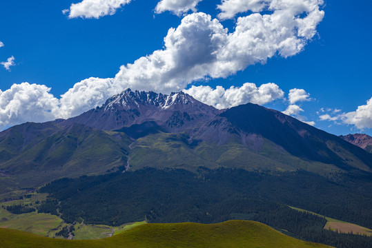 青海卓尔山