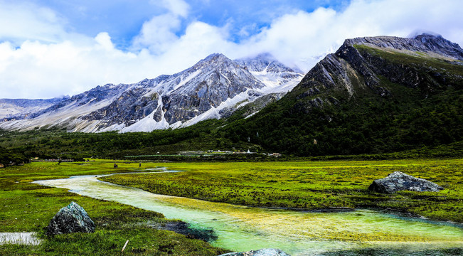 雪山草地