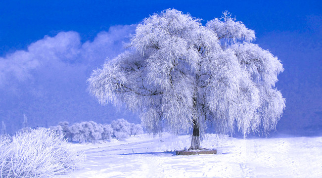 雪景