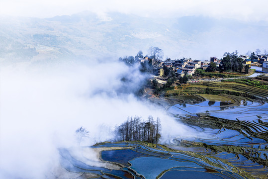 元阳梯田