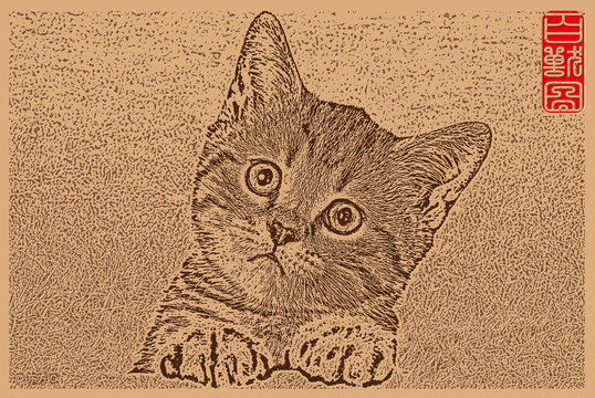 小貓咪