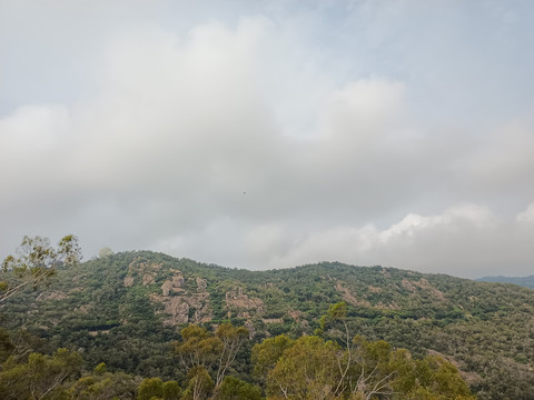 山顶美景