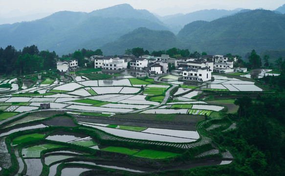 贵州高原水田